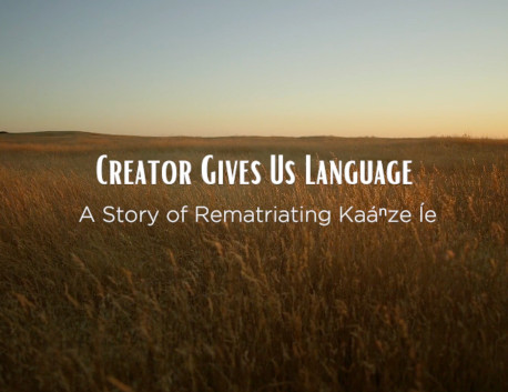 Creator Gives Us Lang