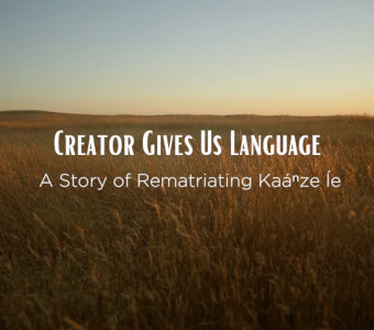 Creator Gives Us Lang