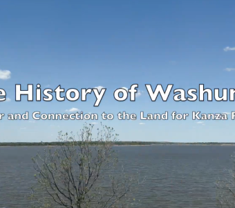 History of Washunga 