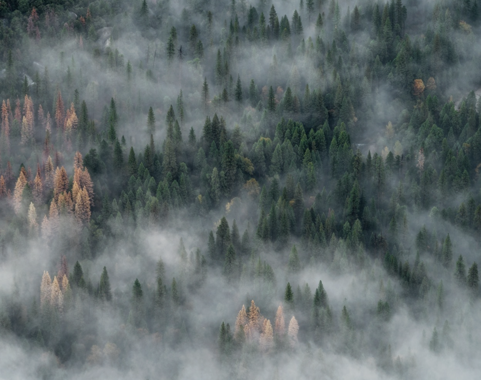 https://lessonsofourland.org/